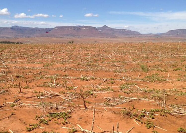 sol aride en Afrique