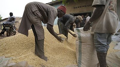 Céréales russes : Soutien solidaire au Burkina Faso et en Centrafrique