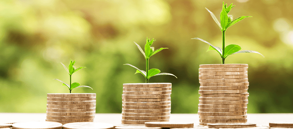 Climat : la BAD annonce quatre Banques Vertes pour combler le déficit de financement en Afrique