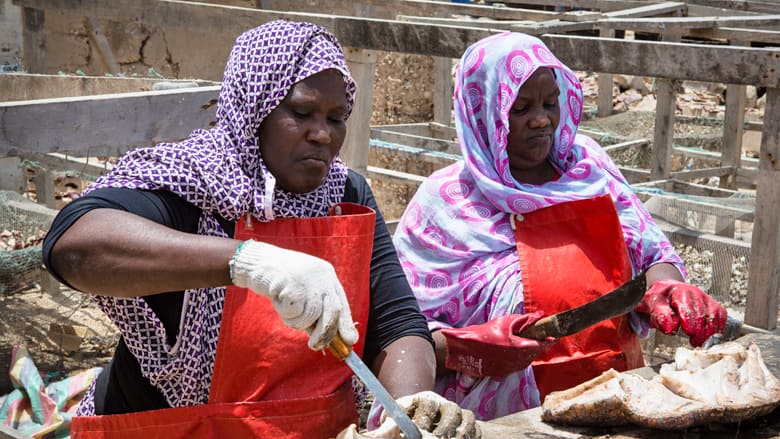 La SFI lève 1,5 milliard $ pour soutenir les communautés défavorisées des marchés émergents