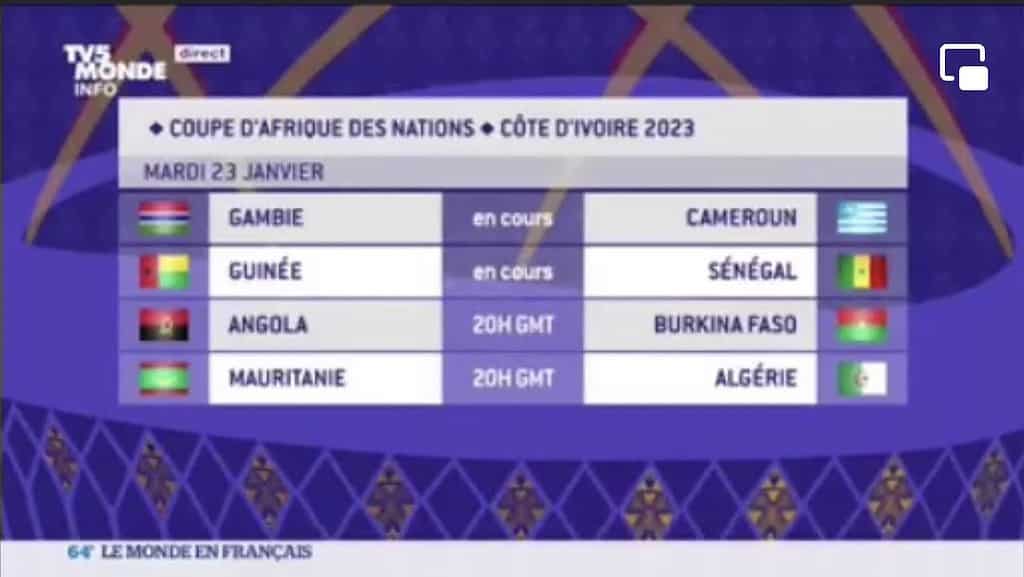 CAN 2023 : TV5Monde s'excuse après la confusion des drapeaux camerounais et  guinéen