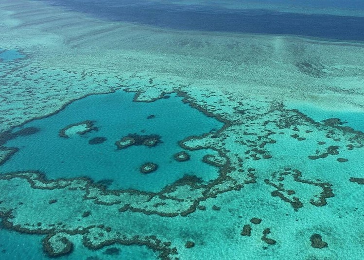 (FILES) This photo taken on November 20, 2014 shows an aerial view of the Great Barrier Reef off the coast of the Whitsunday Islands, along the central coast of Queensland. Australia will strongly oppose a UNESCO plan to list the Great Barrier Reef as "in danger" over its deterioration caused by climate change, the government said on June 22, 2021.
/ AFP / SARAH LAI