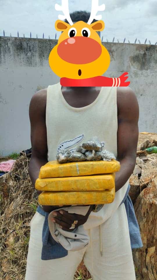 Côte d'Ivoire : Un important dealer de drogue à Daloa
