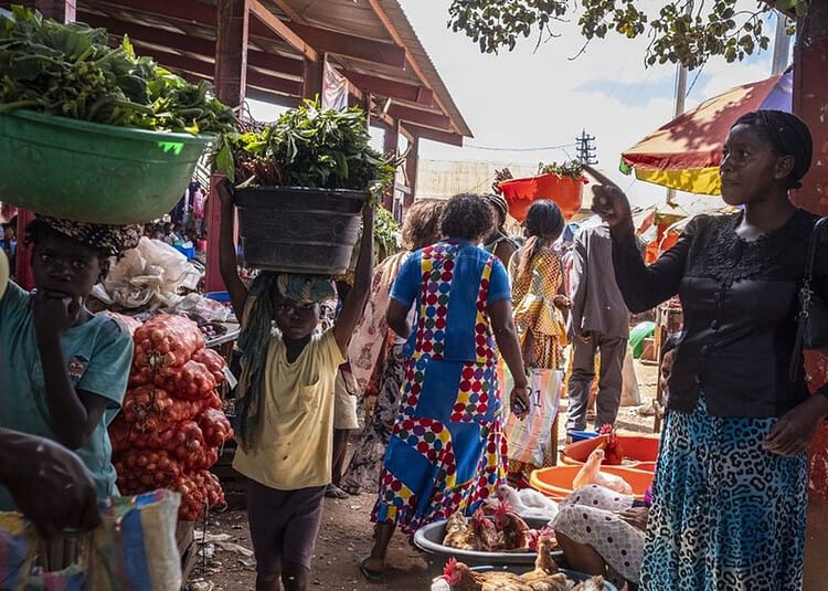 The central market if Fungurume, Democratic Republic of the Congo, on April 29, 2021. The market and school here were built by Freeport McMoRan as part of their social responsibility program. In 2020 the mine was sold to CMOC, or China Moly for billions of dollars.
The majority of the world's cobalt, which is used in batteries for electric vehicles, phones, computers and many other devices, is mined by desperately poor citizens of the Democratic Republic of Congo, and purchased by foreign companies through a murky supply chain that often hide the unethical origins of their products. (Photo by Ashley Gilbertson / VII Photo) *** Local Caption ***
DRC Democratic republic of congo africa central africa cobalt congo copper kinshasa mines mining sub saharan MINING RESOURCES EXTRACTION MINERALS ALTERNATIVE FUEL BATTERIES COBALT AFRICA EXPLOITATION CHINA CHINESE FREEPORT MCMORAN DRC DEMOCRATIC REPUBLIC OF CONGO MINES