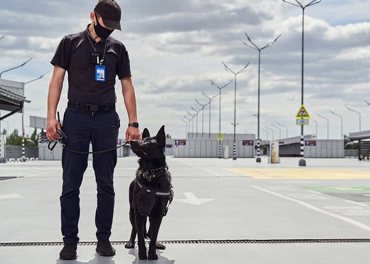 Security officer and police dog patrolling territory of airport