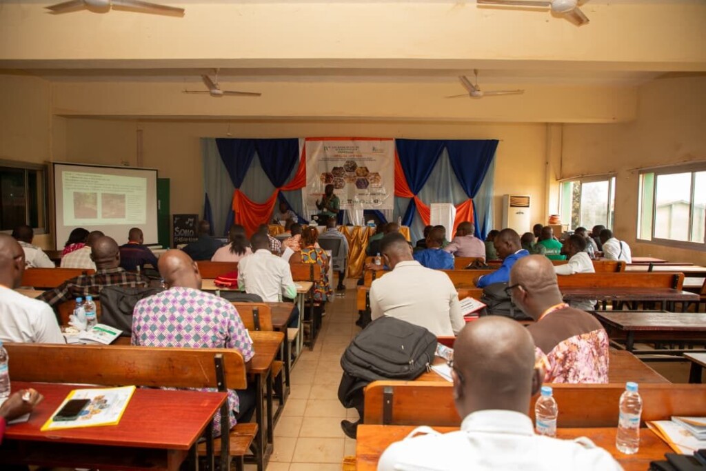 Orpaillage en Afrique : le GRETSSA trace la voie vers des solutions durables