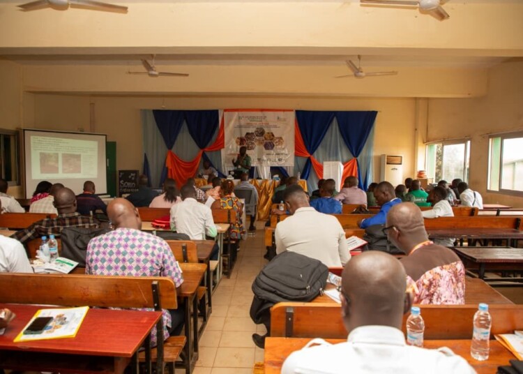 Orpaillage en Afrique : le GRETSSA trace la voie vers des solutions durables