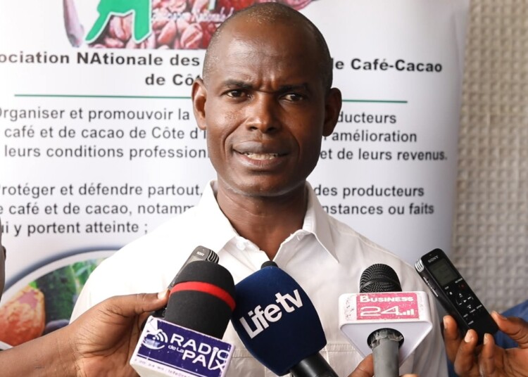Filière cacao : l’ANAPROCI accuse le DG du CCC d’être déconnecté du terrain