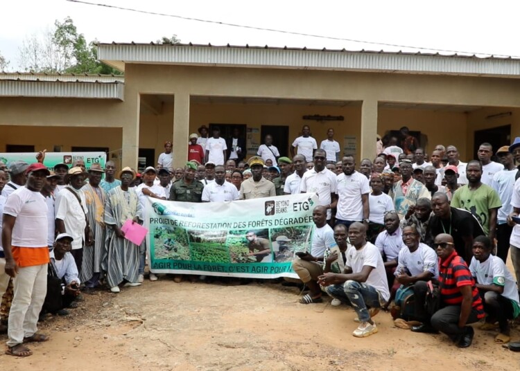 Totrodou (Kouibly) : un projet de reforestation communautaire qui redonne vie aux terres et soutient les populations